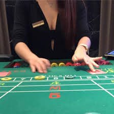 rico555